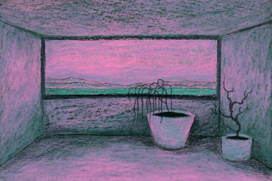 Veronika Šavarová, Deníkové zápisky 3, vyvolávací cena 1000,-